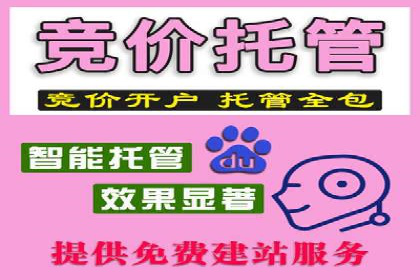 百度推广中的创意策略：成功案例解析与启示